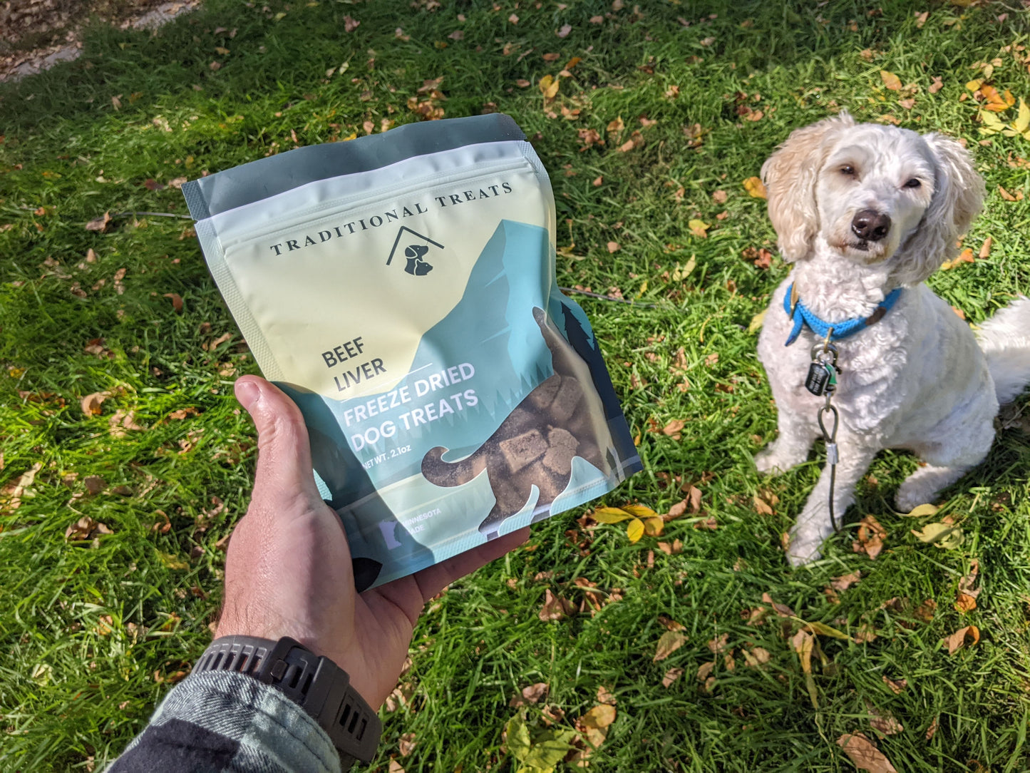 Traditional Freeze Dried Dog Treats- Beef Liver